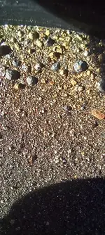 20241210_103013.webp