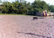 img087.webp