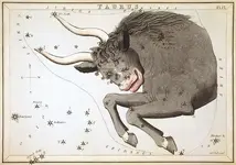 Sidney_Hall_-_Urania's_Mirror_-_Taurus.webp