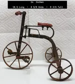 Trike 1.webp
