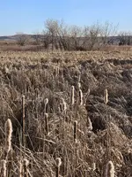20241219_090935.webp