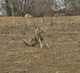 20241223_124551.webp