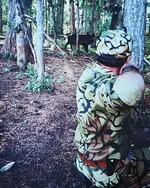 Wild Boar Hunt Picture.webp