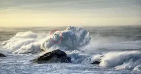wave 30 foot.webp
