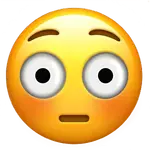 1735325051033.webp