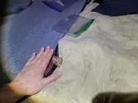 20241228_021913.webp