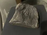 Rock 1.webp