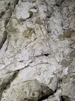 1000008434.webp