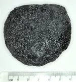 Indochinite (Discoidal).webp