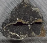 Screenshot 2025-01-07 at 15-56-46 Lunar Meteorite Northwest Africa 6687 Some Meteorite Inform...webp
