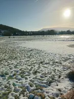 20250110_111025.webp