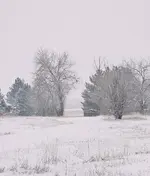 20250118_070201.webp