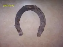 horseshoe.webp