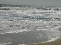 Surf Small Web view.webp