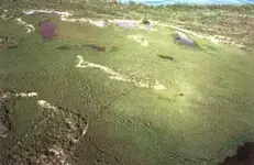 Bimmini mounds.webp