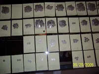 Silver Dime Cache 2.webp