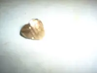 ring.webp
