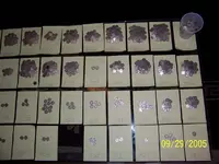 Silver Dime Cache 3.webp