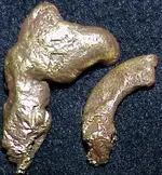 gold.webp