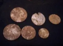 Lumber tokens.webp