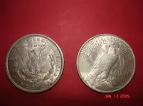 silver dollars.webp