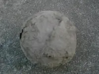 convering on cannon ball.webp