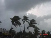 hurdenpalms.webp