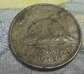 86 can.webp