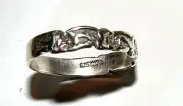 ring.webp