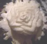 flower2.webp