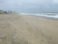 Va Beach Oct 12.webp