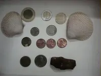 Found 01-16-2005.webp