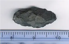 Arrow Head.webp