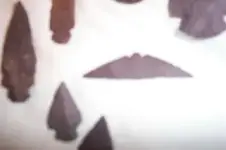 Indian arrowhead.webp