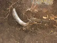 DSCF0239.webp