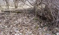 Picture 007.webp