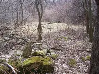 Picture 009.webp