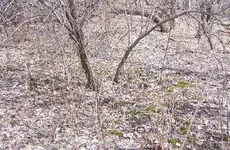 Picture 010 Outhouse Pic.webp