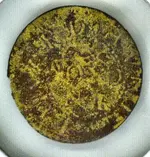 Image4.webp