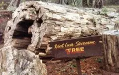 petrified.webp