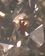 Angel.webp