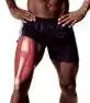 legs.webp