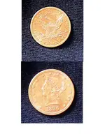 Coin.webp