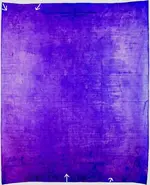 declaration_back_large.webp