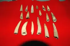Antler Points 2.webp