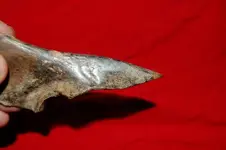 Fuert Site (9).webp