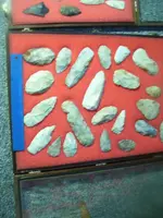 some of my collection 028.webp