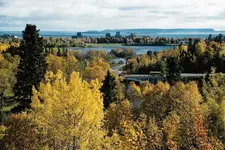 boulevard_hi[1].webp