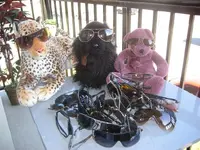 glasses 005.webp