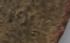pennyyyyyyyyyyyyyyyyyyyyyyyyyyy111.webp